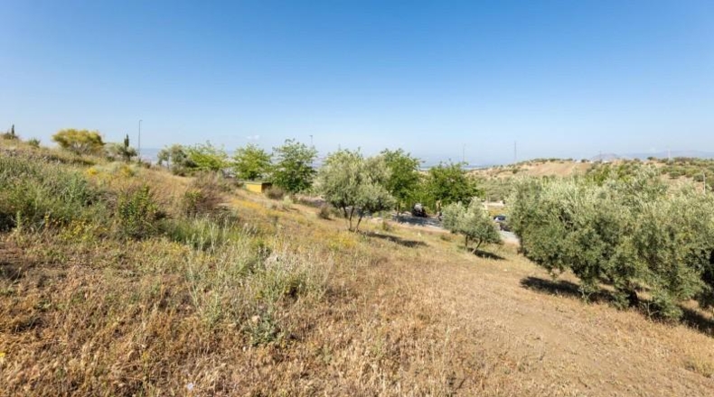 Granada - Alfacar - 400m2