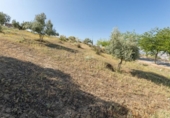 Suelo urbano en venta en la España, Alfacar, ref: TR237449 foto