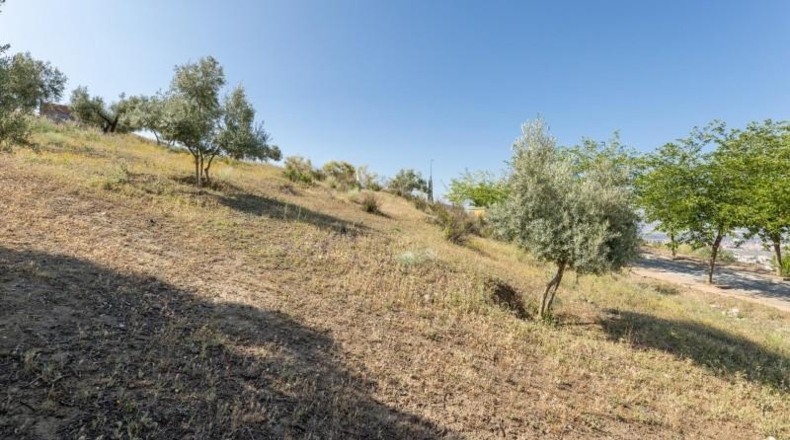 Granada - Alfacar - 400m2