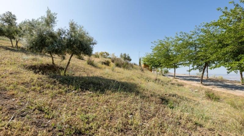 Granada - Alfacar - 400m2