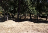 Suelo urbano en venta en la España, Tordera, ref: TR113721 foto