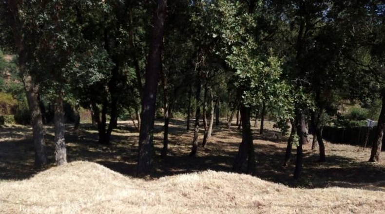 Barcelona - Tordera - 750m2