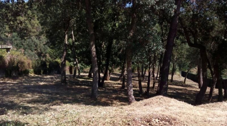 Barcelona - Tordera - 750m2