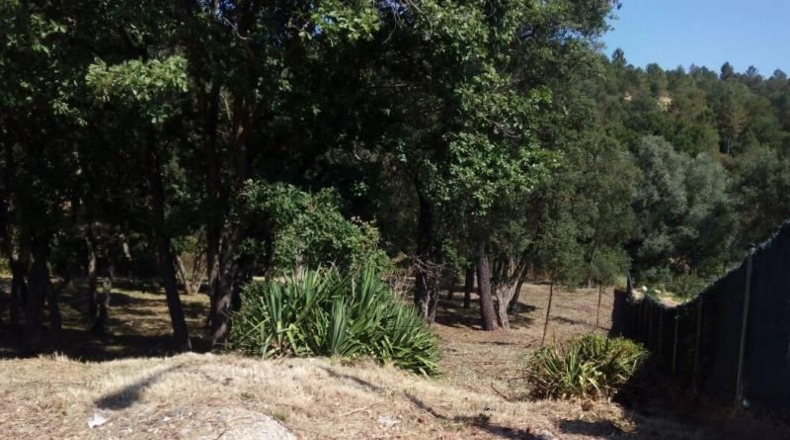 Barcelona - Tordera - 750m2