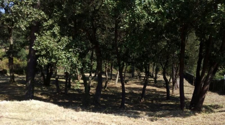 Barcelona - Tordera - 750m2