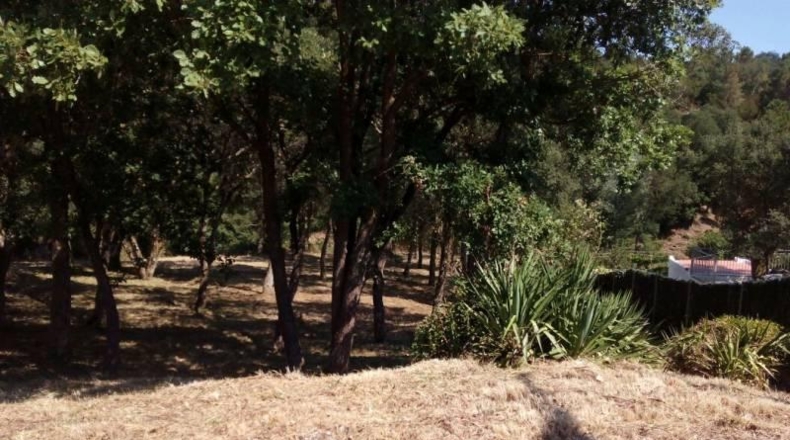 Barcelona - Tordera - 750m2