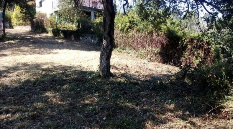 Barcelona - Tordera - 750m2