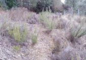 Urban land for sale on España, Rocafort, ref: TR306948 photo