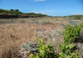 Terreny no urbanitzable en venda a la España, Agullent, ref.: TR121619 foto