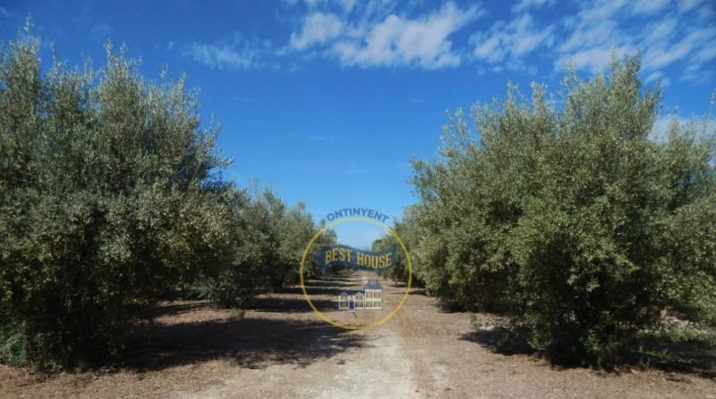 València - Agullent - 16270m2