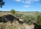 Terreny no urbanitzable en venda a la España, Agullent, ref.: TR121619 foto