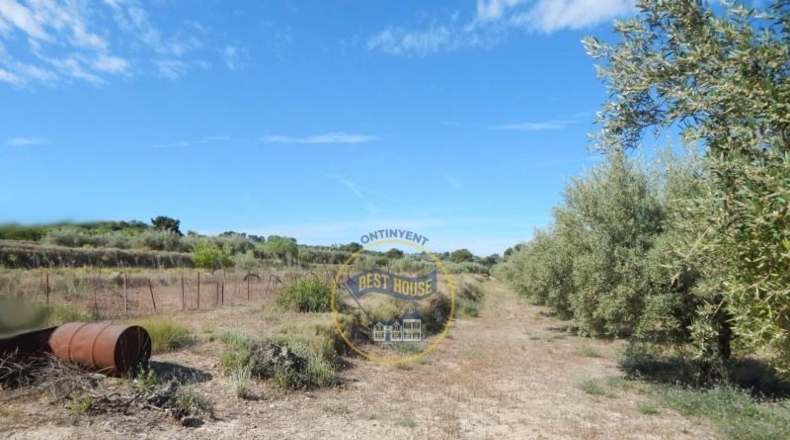 València - Agullent - 16270m2