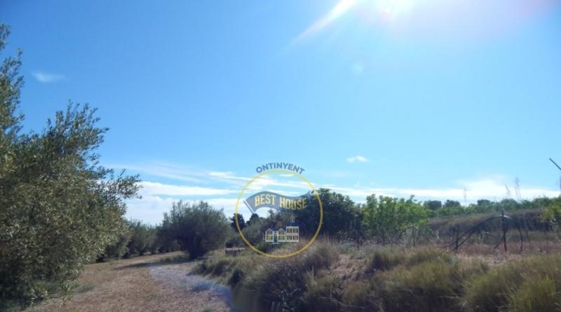 València - Agullent - 16270m2