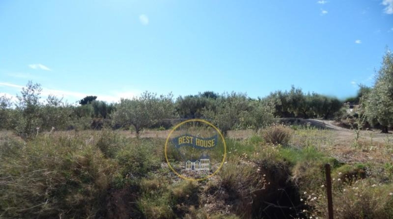 València - Agullent - 16270m2