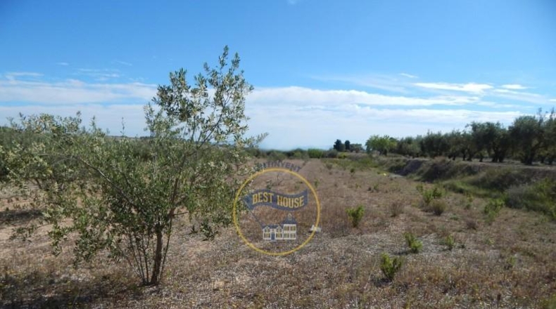 València - Agullent - 16270m2