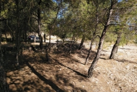 Foto 7