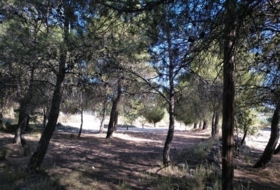 Foto 13
