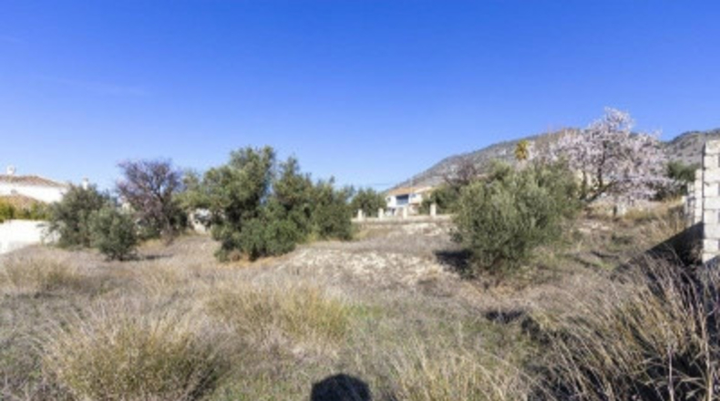 Granada - Padul - 1343m2