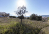 Parcela urbanizable en venta en la España, Padul, ref: TR117292 foto