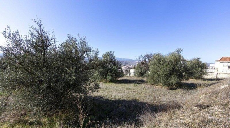 Granada - Padul - 1343m2