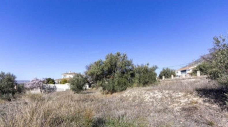 Granada - Padul - 1343m2