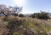 Parcela urbanizable en venta en la España, Padul, ref: TR117292 foto