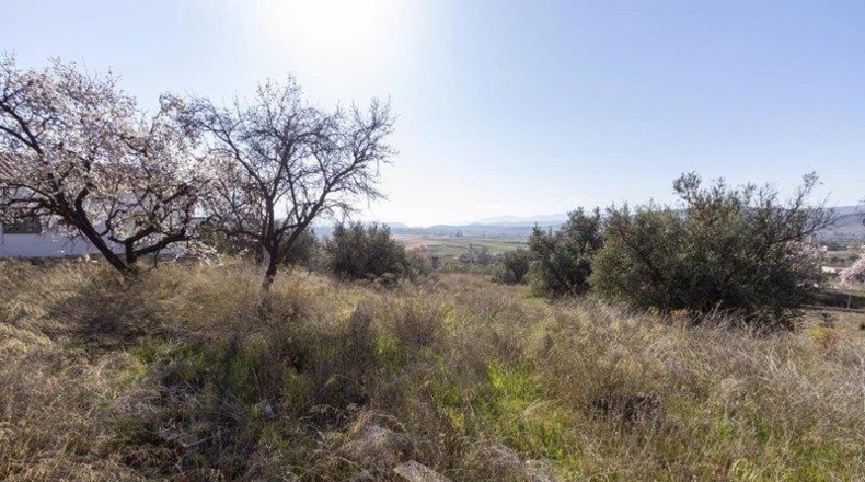 Granada - Padul - 1343m2