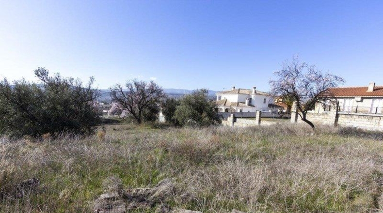 Granada - Padul - 1343m2
