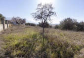 Parcela urbanizable en venta en la España, Padul, ref: TR117292 foto