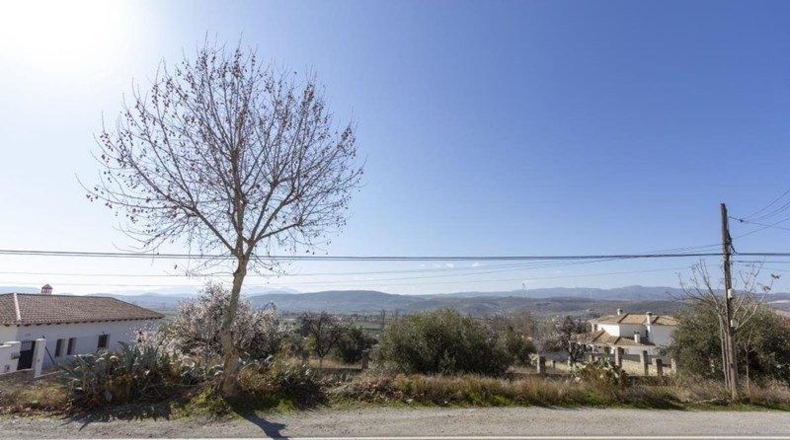 Granada - Padul - 1343m2