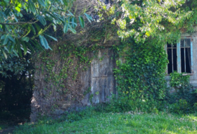 Foto 13