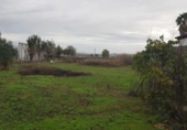 Sòl urbà en venda a la España, Còrdova, ref.: TR282240 foto