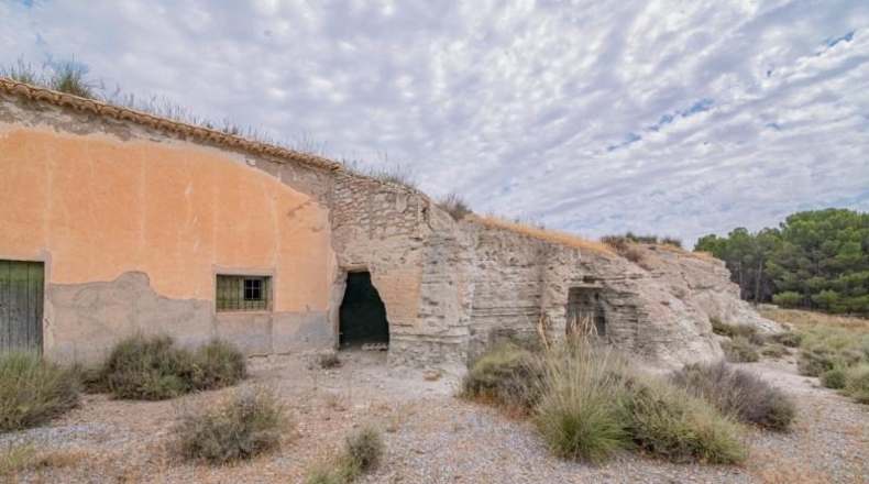 Granada - Baza - 60000m2