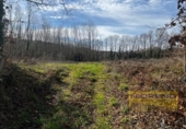Suelo urbano en venta en la España, Vilar de Sarria, ref: TR358756 foto