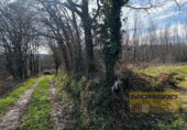 Suelo urbano en venta en la España, Vilar de Sarria, ref: TR358756 foto
