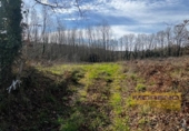 Suelo urbano en venta en la España, Vilar de Sarria, ref: TR358756 foto