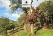 Parcela urbanizable en venta en la España, Calonge, ref: TR381172 foto