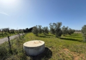 Terreno no urbanizable en venta en la España, Pilas, ref: TR387236 foto