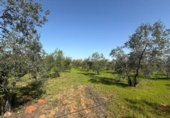 Terreno no urbanizable en venta en la España, Pilas, ref: TR387236 foto