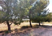Parcela urbanizable en venta en la España, Montealegre del Castillo, ref: TR123679 foto