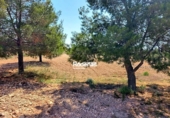 Parcela urbanizable en venta en la España, Montealegre del Castillo, ref: TR123679 foto