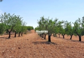 Parcela urbanizable en venta en la España, Montealegre del Castillo, ref: TR123679 foto