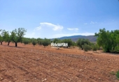 Parcela urbanizable en venta en la España, Montealegre del Castillo, ref: TR123679 foto