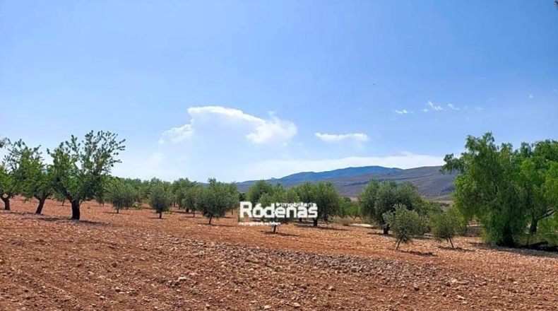 Múrcia - Jumilla - 35534m2