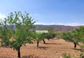 Parcela urbanizable en venta en la España, Montealegre del Castillo, ref: TR123679 foto