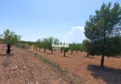 Parcela urbanizable en venta en la España, Montealegre del Castillo, ref: TR123679 foto