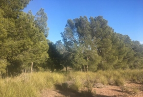 Foto 8
