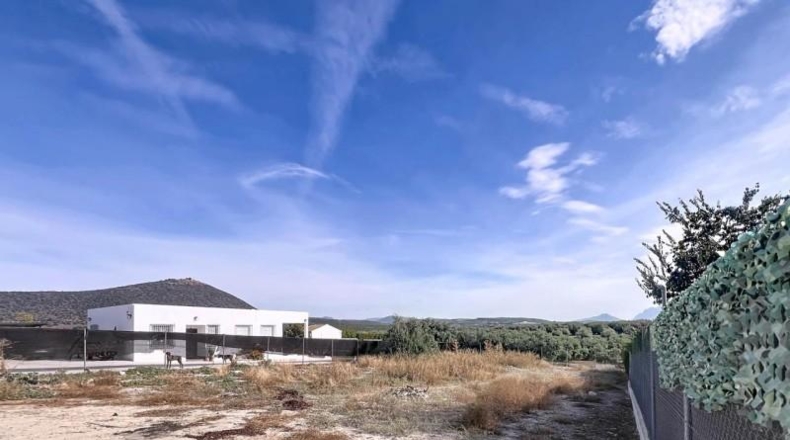 Córdoba - Lucena - 1000m2