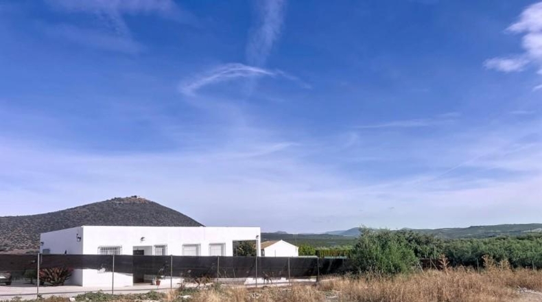 Córdoba - Lucena - 1000m2