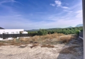 Terreno no urbanizable en venta en la España, Lucena, ref: TR350537 foto
